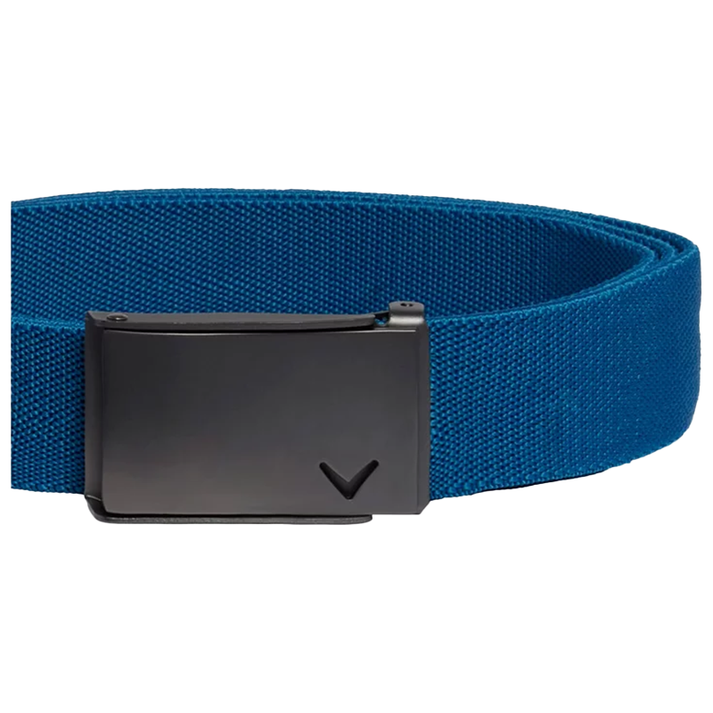Rev Webbed Belt