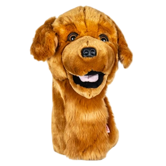 Wood Cover Golden Retriever